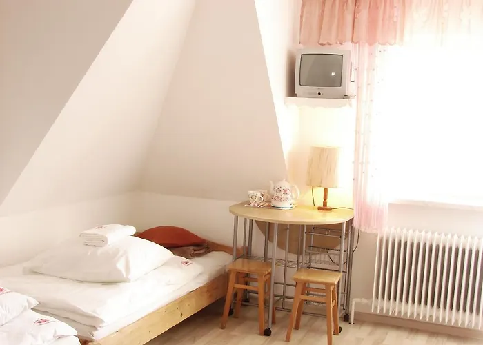 ホームステイ Czerwone Wierchy *